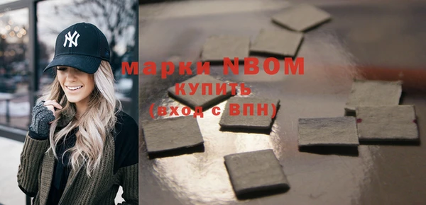 Альфа ПВП Няндома