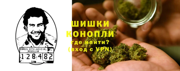 Альфа ПВП Няндома