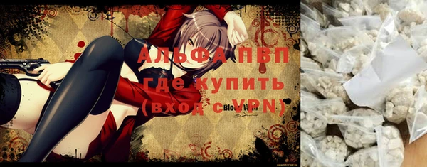 Альфа ПВП Няндома