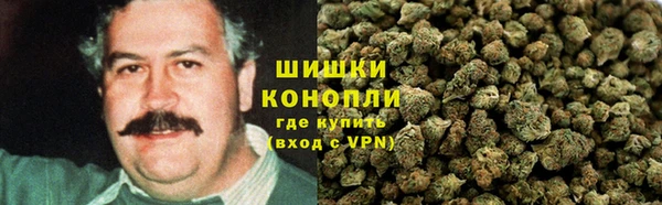 Альфа ПВП Няндома