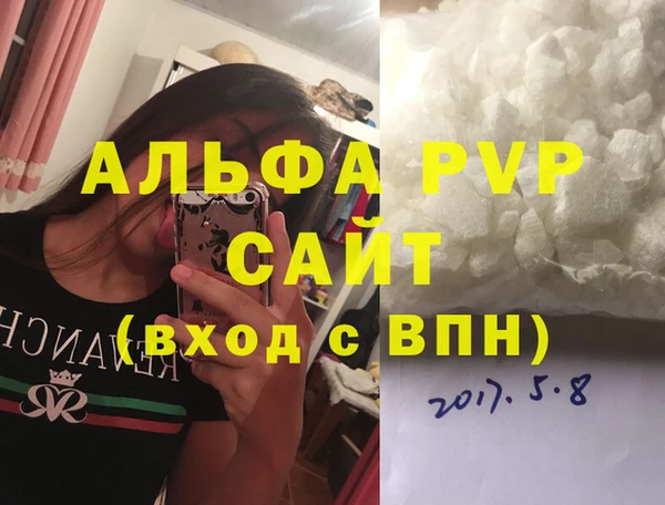 Альфа ПВП Няндома