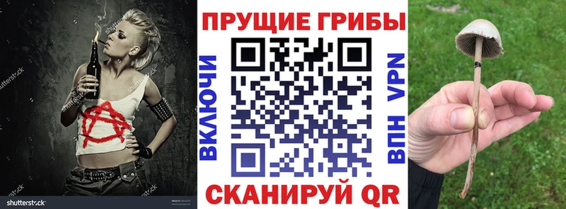 Псилоцибиновые грибы GOLDEN TEACHER Тайга